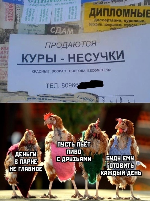 Картинки и мемы для настроения - 119