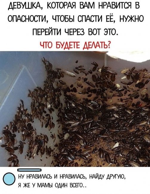 Так себе картинки 19.10.22