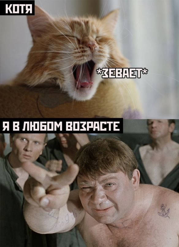 Немного картинок для настроения - 137