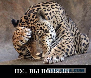 Точность