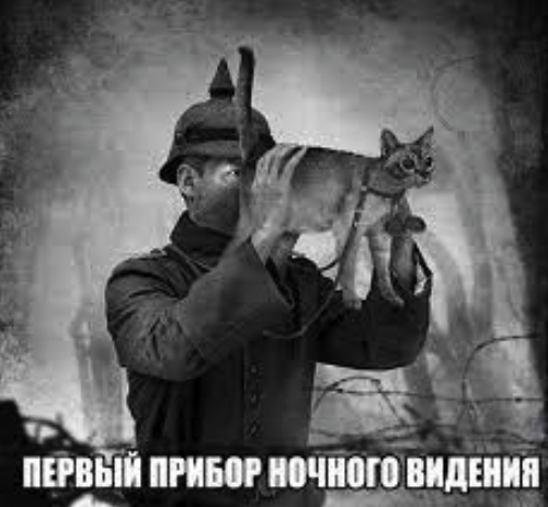В Белгороде изобрели перископ из водосточных труб