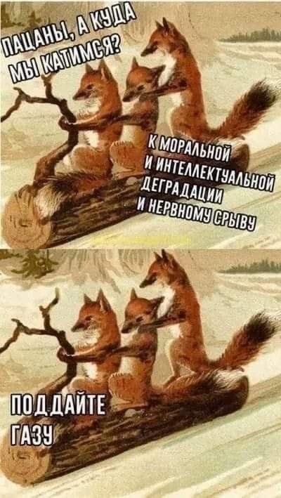 Сегодня отмечается День валяния дурака