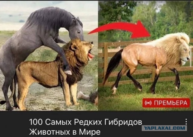 Всего понемногу. Пятничный выпуск