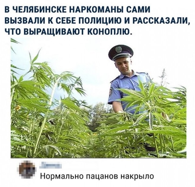 Скриншоты и комментарии из социальных сетей 12.06.23