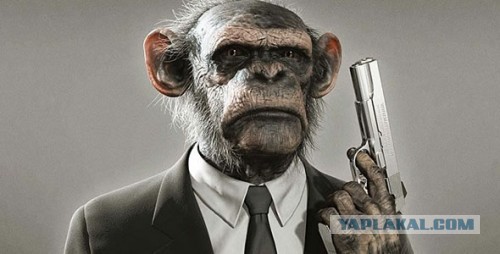 ОМОН крепит красные мокасины