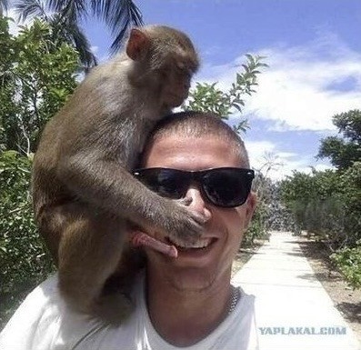 Полин, Полина, зови на помощь
