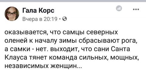 Забавные комментарии из социальных сетей (28.05.24)