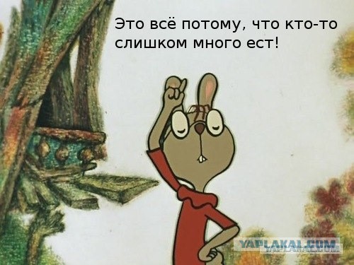 Депутат Госдумы Ирина Филатова объявила, что россияне с лишним весом — главные виновники экономического упадка страны