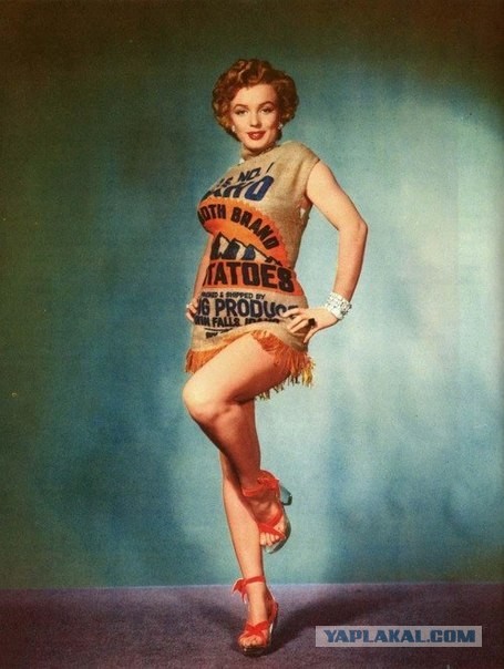 Снимок Мэрилин Монро с медового месяца ушёл с молотка за 21 тысячу долларов