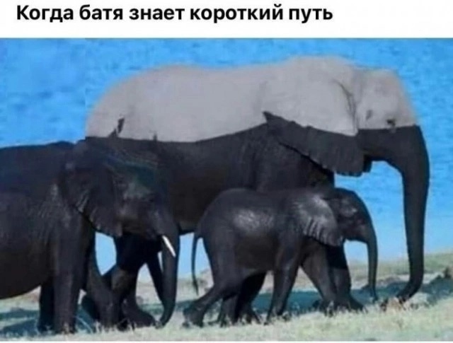 Одна девочка не любила молочную пенку...