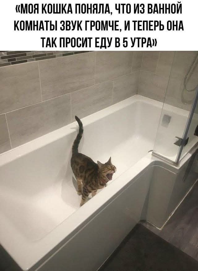 Картинки для деградации 53 (разной степени свежести)