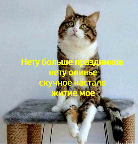 Картиночки, баянчики 08 января