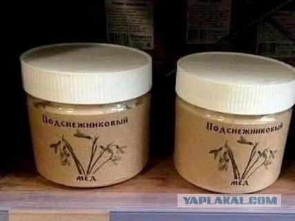 В Японии начался сезон цветения голубой немофилы