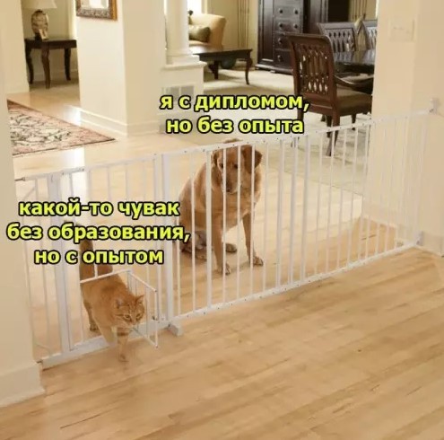 Картиночки, баянчики 26 апреля