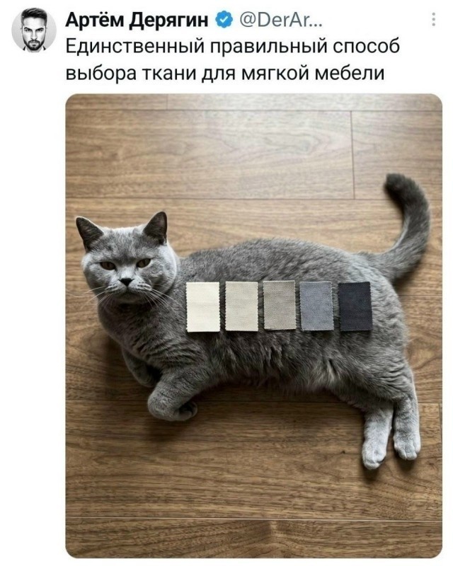 Капля юмора. Продолжение