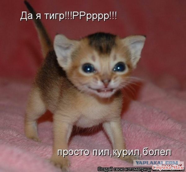Авиационный механик на авианосце