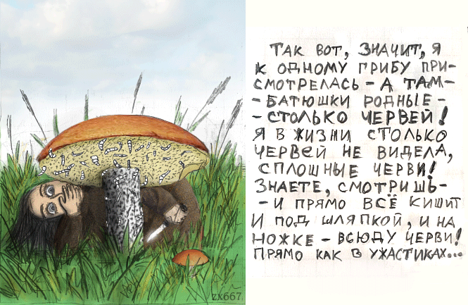 Девочка и задача про грибы. Веселая история про грибы. шутки про грибы. мемы про грибы. фразы про грибы.