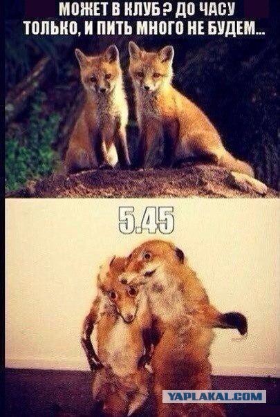 Нарисуй ЯПовца пейнтом