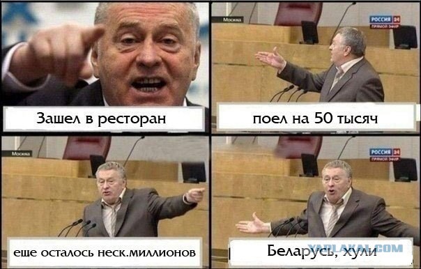 Владимир Вольфович негодует