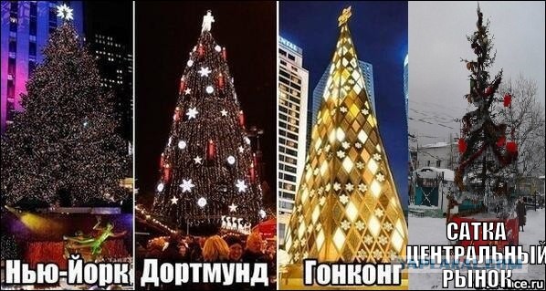 Йолка-2014
