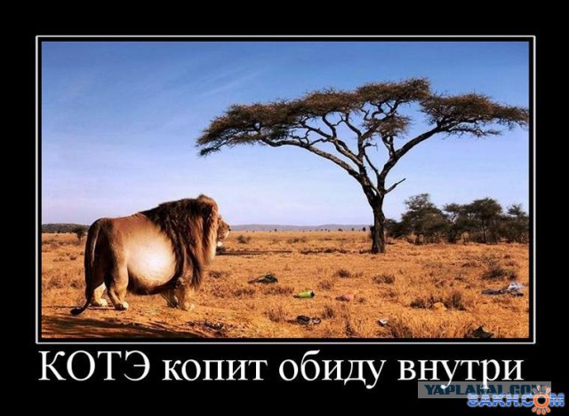 Самый трусливый поступок