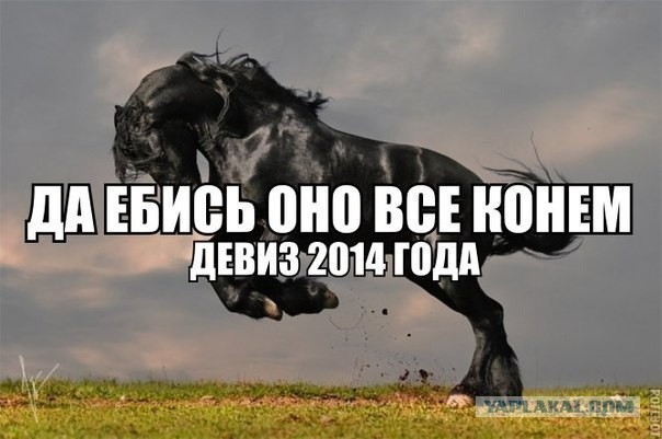 Очередная подборка смешных высказываний