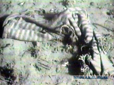 Лучшее от Бориса Ельцина