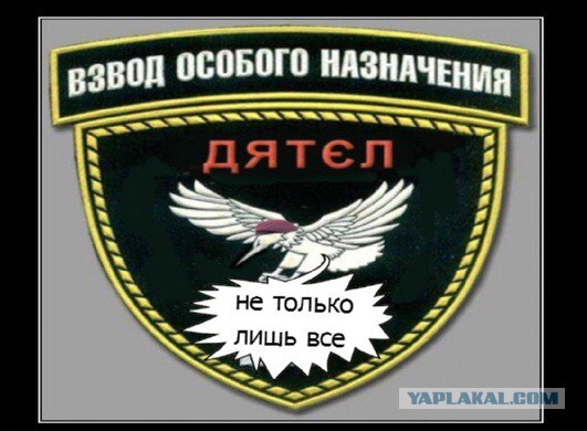 Обращение Ополченцев