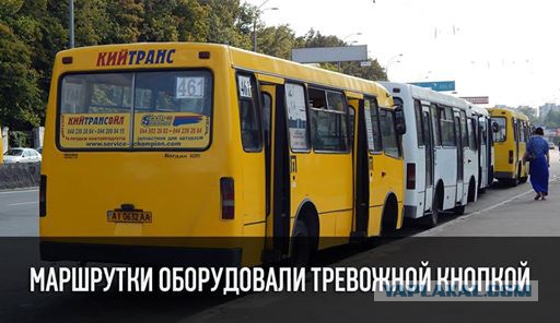 Молодцы, тимуровцы