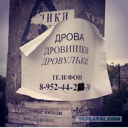 Небольшая подбока пикчей