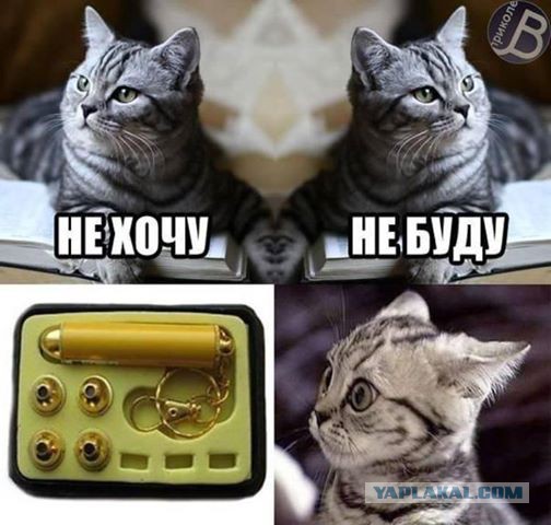 Немного позитива на пятницу