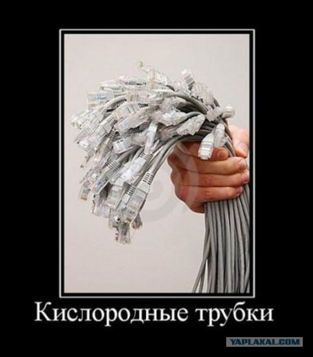 Весёлые картинки