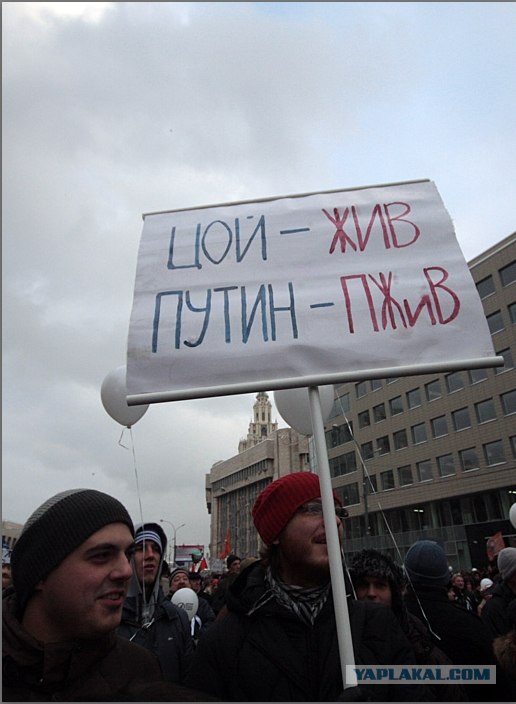 Лучшие плакаты с митинга 24.12