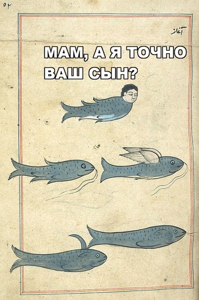 Весёлое Средневековье