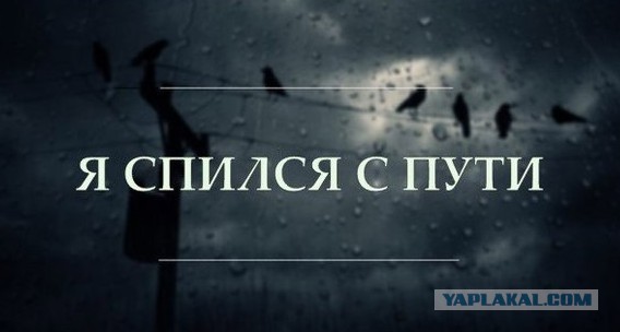 Алкоголь и деградация личности  как это начинается