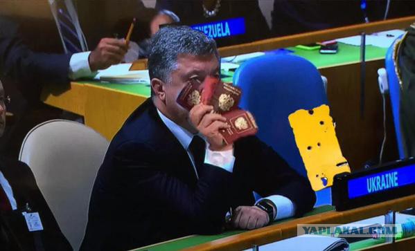 Прямая трансляция из ООН