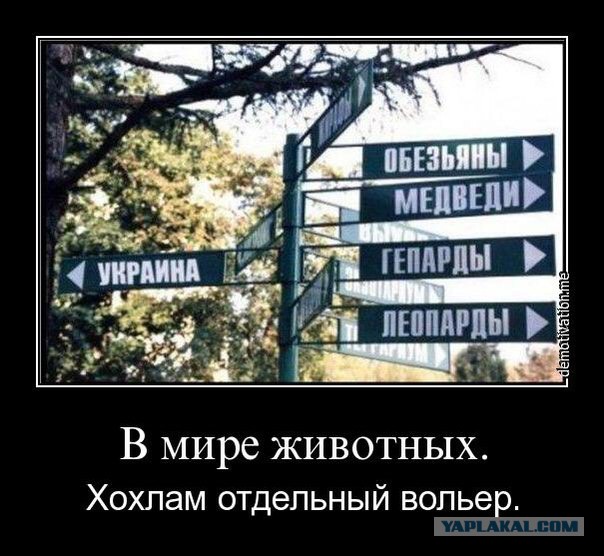 10 политических картинок часть 12