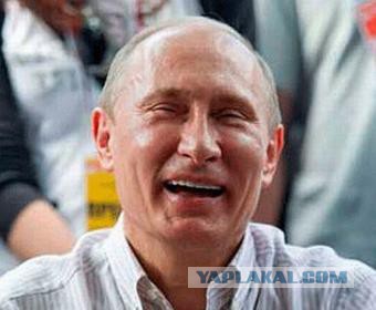 Уральский фермер рубит правду-матку