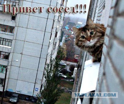 Картинки разные