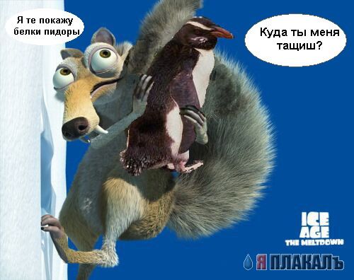 Фотожаба: Саблезубая белка!
