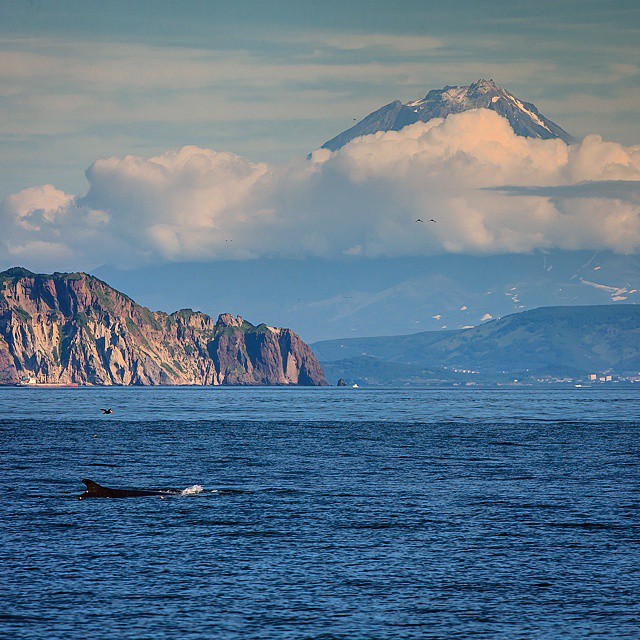 Утомленные икрой: какая она, жизнь на Камчатке?