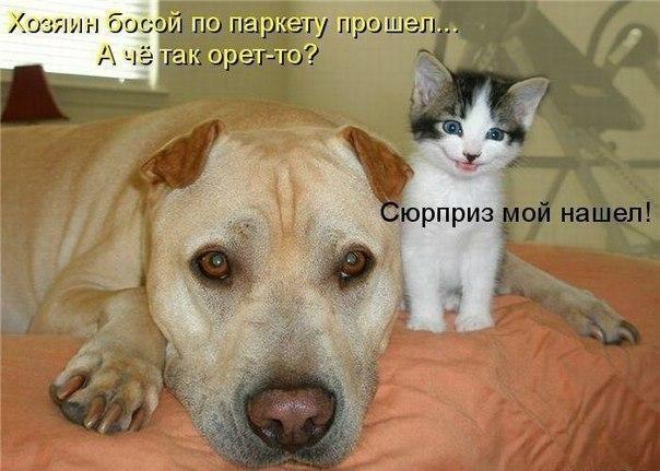Картинки из сети, подборка на пятницу.