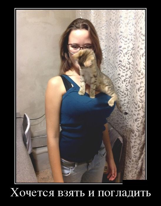 Картинки и приколы из сети
