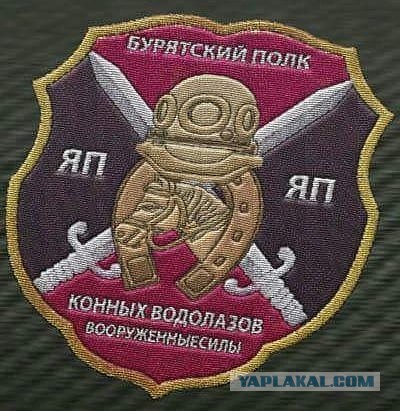 Дмитрий Медведев стал военнопленным со срезанными шевронами
