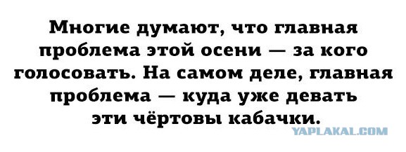 Подборка из соцсетей.