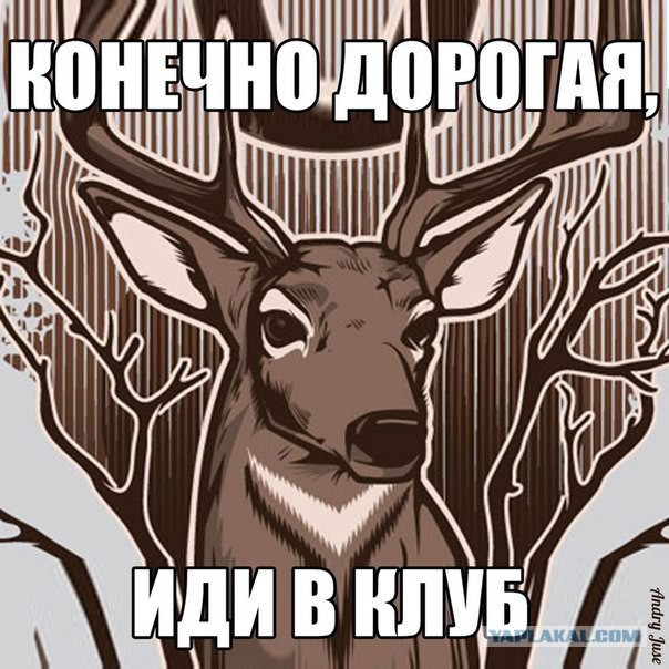 Предел прочности
