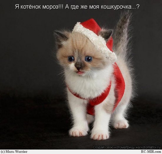 Фото из этих ваших интернетов.