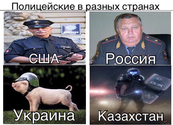 Самое время подеградировать вместе