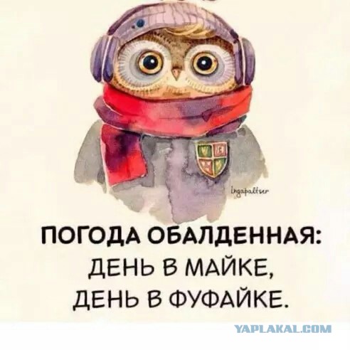 Забавные комментарии, шутки и фразы из этих ваших интернетов