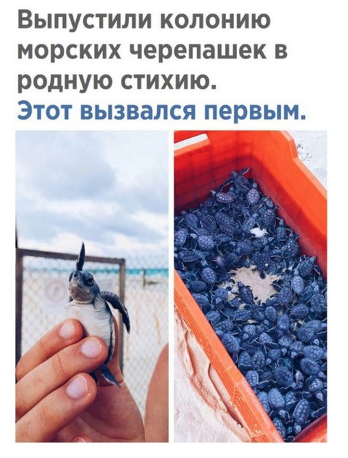 Подборка интересных и веселых картинок